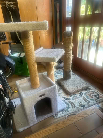 Photo of free Cat house and scratching post (NE Seattle) #3
