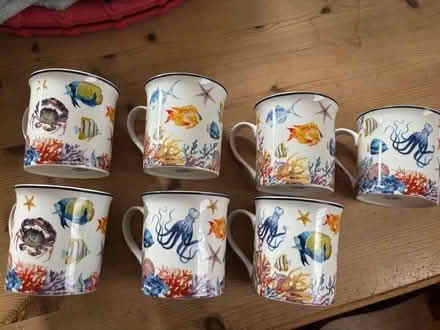 Photo of free Leonardo “sea life”mugs (Hastings) #1