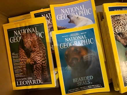 Photo of free National Geographic Magazines (Vienna) #1
