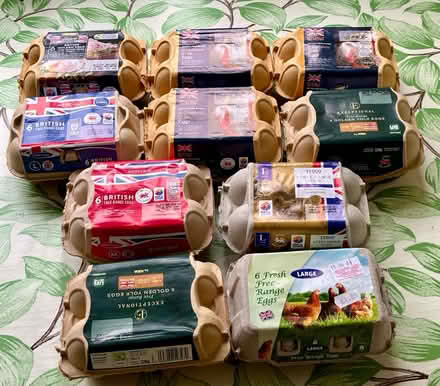 Photo of free Egg Boxes (Studley B80) #1