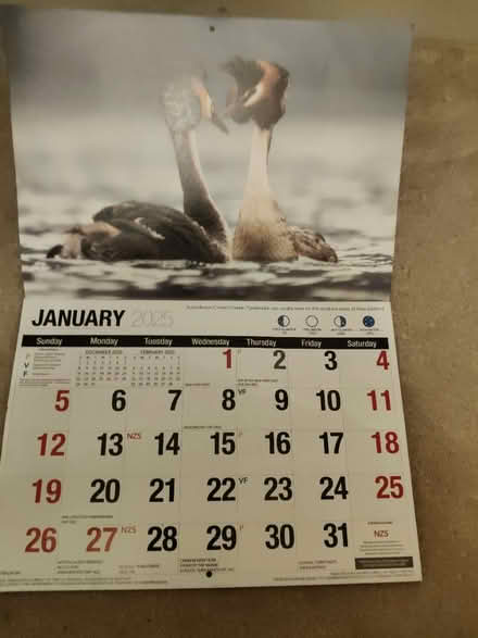 Photo of free 2025 calendar -burds of NZ (Jericho OX2) #2