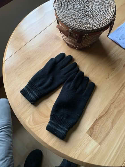 Photo of free Warm gloves (AB24) #1