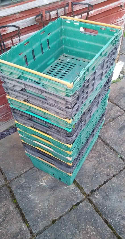 Photo of free Storage/Veg stacking boxes (12). (Fareham PO14) #1