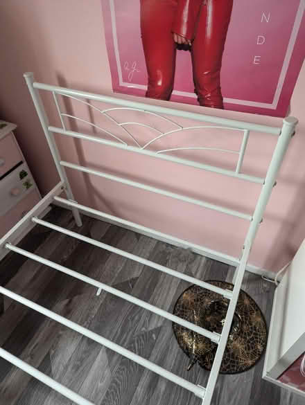 Photo of free Single mattress and bed frame (Witham CM8) #4