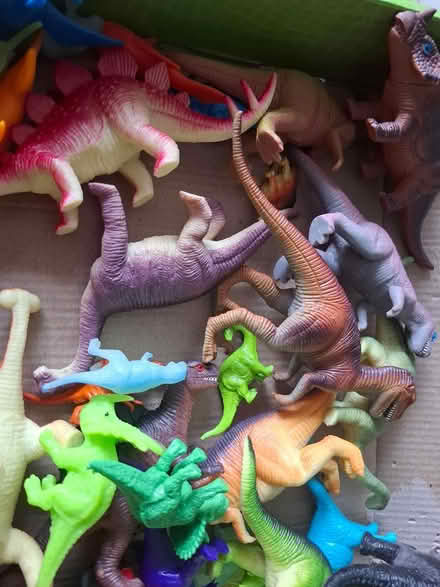 Photo of free Assorted dinosaurs (Leith EH6) #3