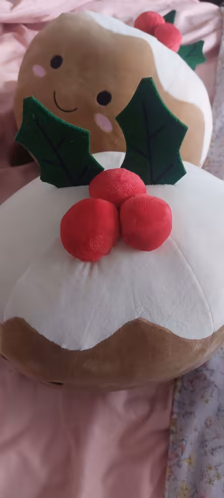 Photo of free 2 super soft Christmas pudding cushions (Lower Weston) #3