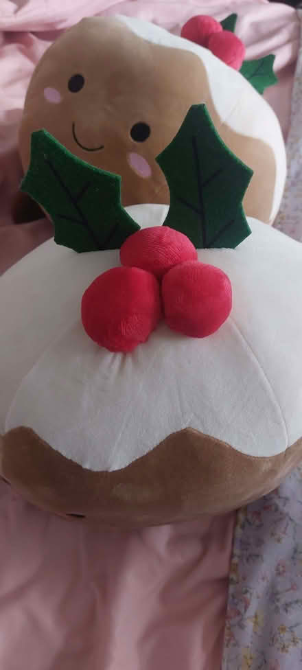 Photo of free 2 super soft Christmas pudding cushions (Lower Weston) #3
