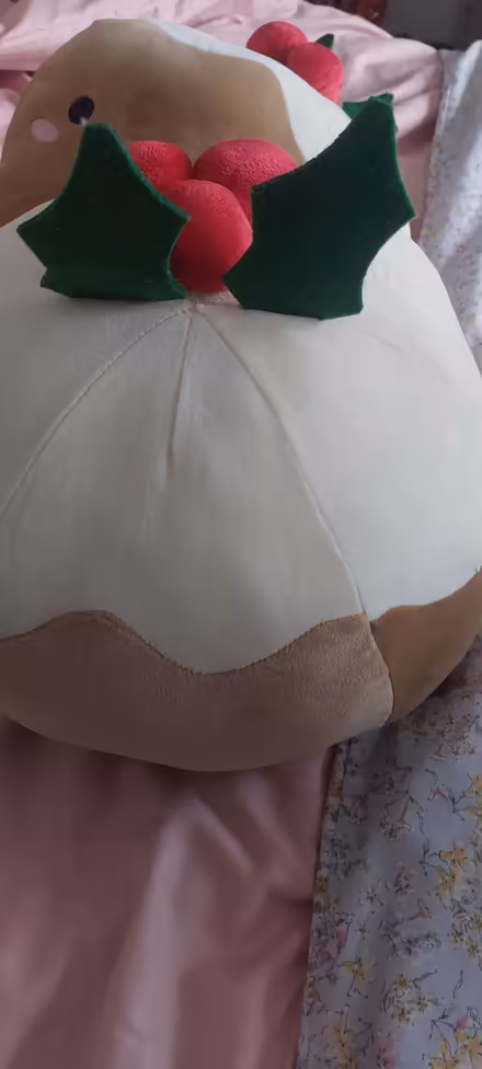 Photo of free 2 super soft Christmas pudding cushions (Lower Weston) #1