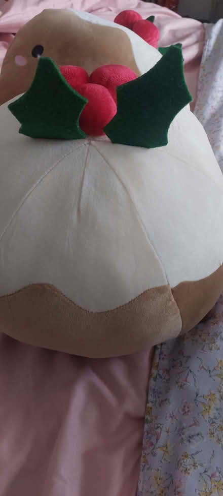 Photo of free 2 super soft Christmas pudding cushions (Lower Weston) #1