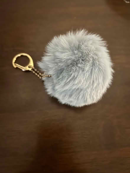 Photo of free Keyring (Knaresborough HG5) #1