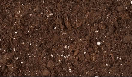 Photo of Top soil and plant pots (Wallington SM6 8PX) #2