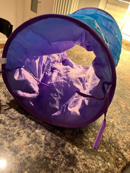 Photo of free Kitten Bed & Kitten Tunnel (AL1) #4