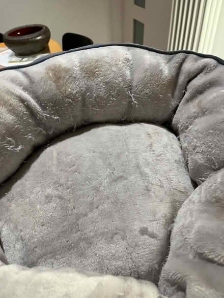 Photo of free Kitten Bed & Kitten Tunnel (AL1) #2