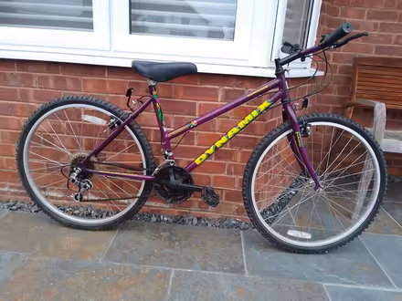 Photo of free Ladies/girls bike (Saltford) #1