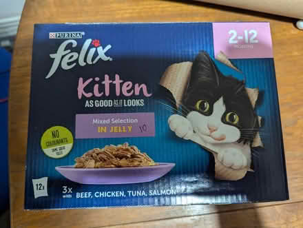 Photo of free Kitten food (Lewes, near Prison/Winterborne) #1