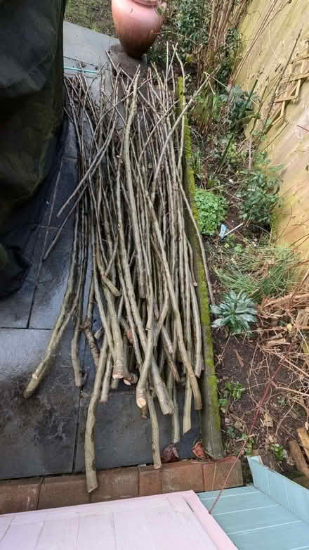 Photo of free Bean poles (Headington OX3) #1
