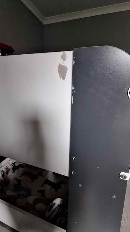 Photo of free Kids bunk bed (Teddington TW11) #4