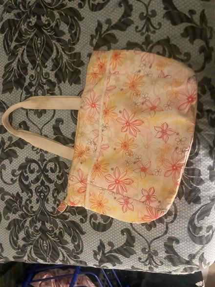 Photo of free Ladies tote bag (Homestead Fl) #1