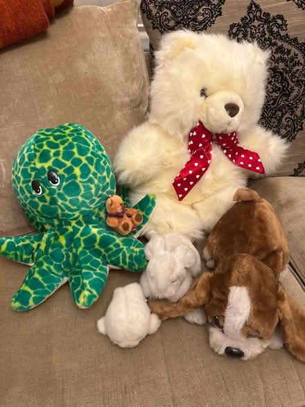 Photo of free Soft toys (Wallington green SM6) #1