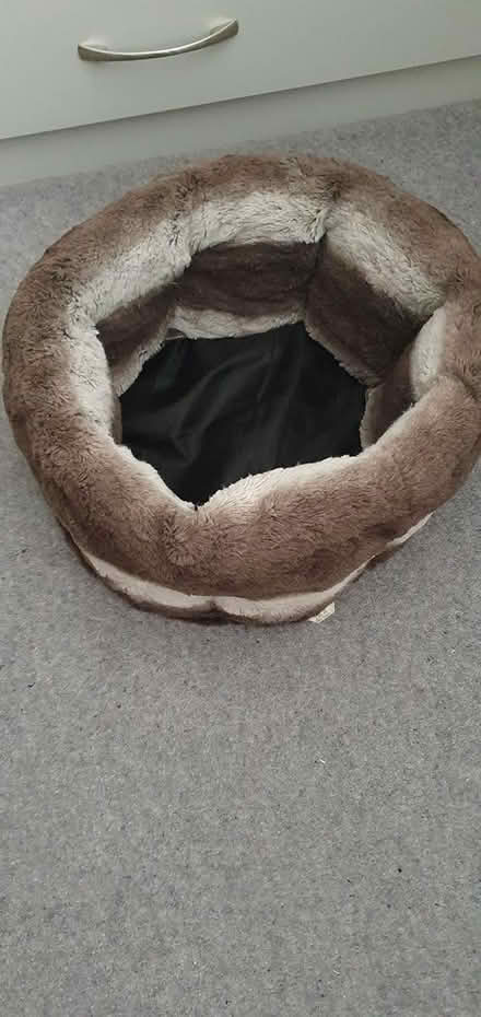 Photo of free kitten or small cat bed (Hengistbury Head BH6) #1