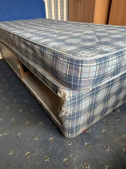 Photo of free Single divan bed and matress (Alfreton DE55) #2