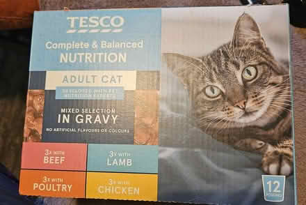 Photo of free cat food (EN1) #1