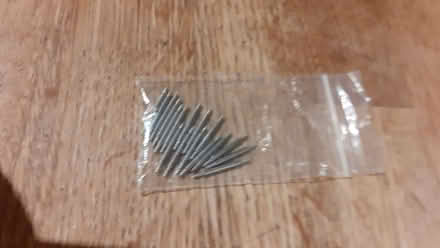 Photo of free Watch band pins (Portslade by Sea BN41) #1