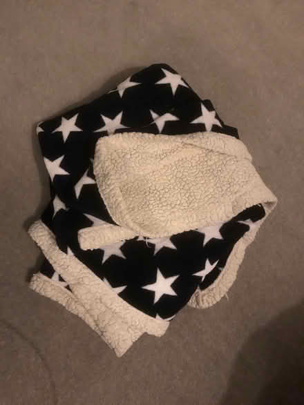 Photo of free Fleece blanket (East dulwich) #1