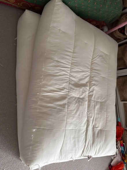 Photo of free Cushions inserts, great condition. (Southfields SW19) #1