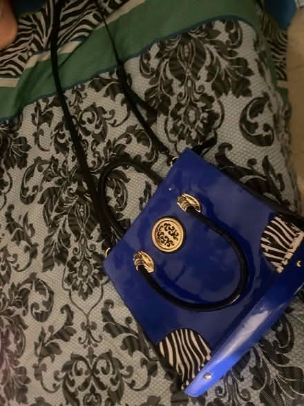 Photo of free Ladies purses (Homestead Fl) #2