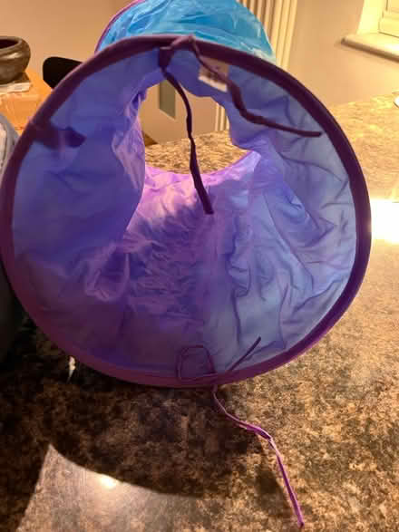 Photo of free Kitten Bed & Kitten Tunnel (AL1) #3