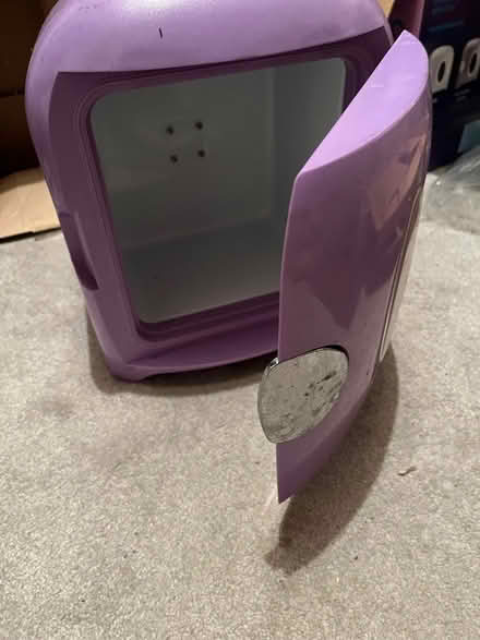 Photo of free Purple Mini cooler (Shirley, Croydon) #2