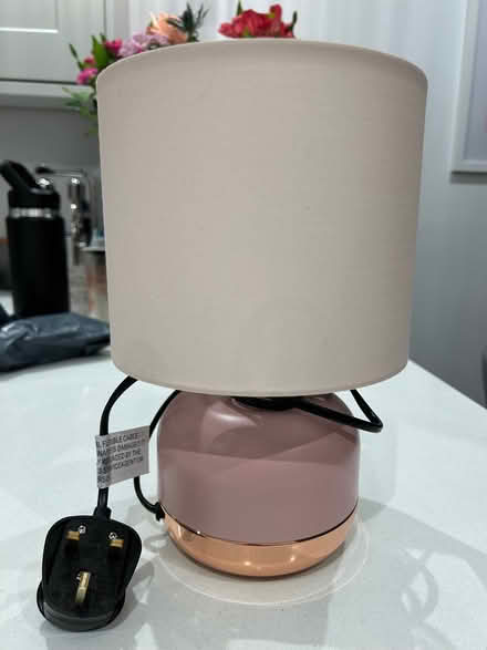 Photo of free Pink and gold lamp (Tooting SW17) #1