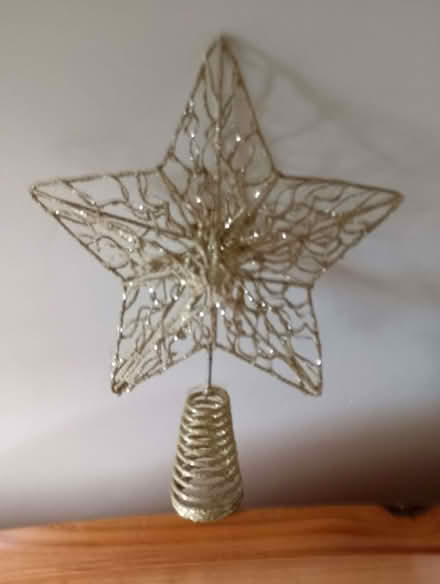 Photo of free Christmas star (Humphrey's End GL5) #1