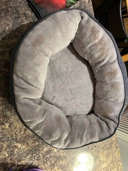 Photo of free Kitten Bed & Kitten Tunnel (AL1) #1