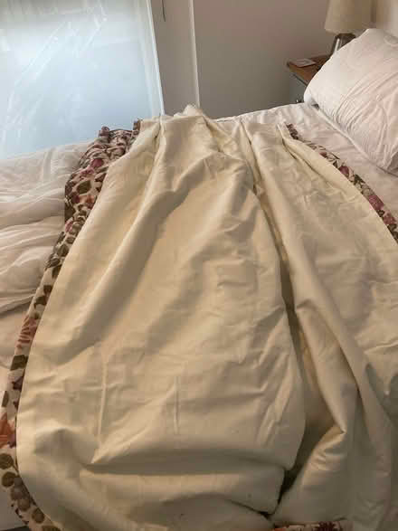 Photo of free Very thick winter curtains (West Ealing) #4