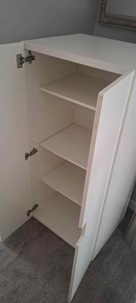 Photo of free Storage cupboard with shelves (Pratts Bottom) #1