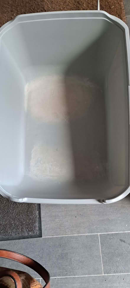 Photo of free Hooded cat litter tray (Presteigne LD8) #2