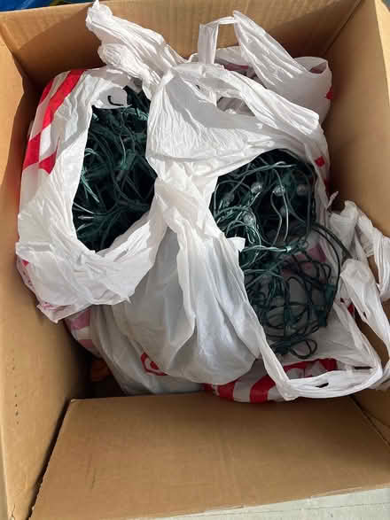 Photo of free Box of white Christmas lights (Chevy Chase DC) #1