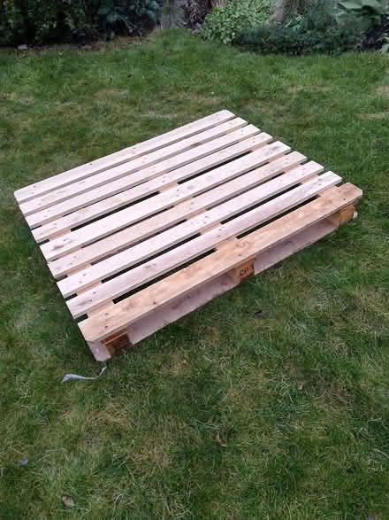 Photo of free Pallet (Wonersh GU5) #1