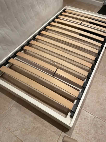 Photo of free Single Trundle bed and mattress (Brixham TQ5) #3