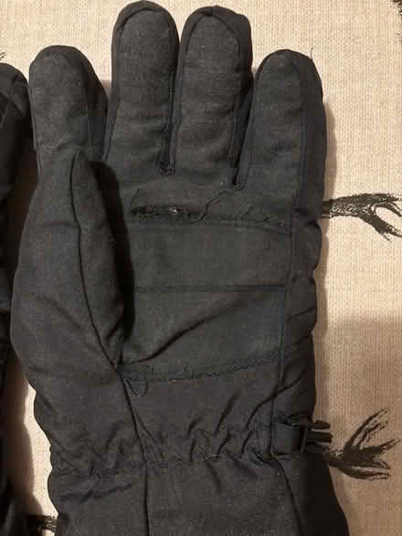 Photo of free Ski gloves (medium/large adults?) (Oxenholme LA9) #2