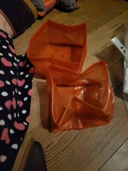 Photo of free 2 collapsible dog bowls (CT11) #1