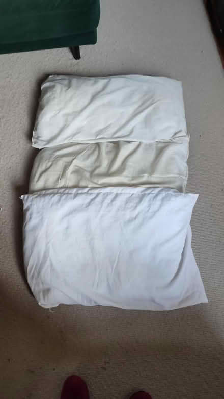Photo of free Old pillows (B29) #1