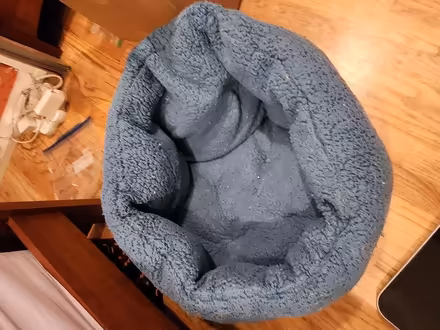 Photo of free Medium round dog bed (Maple Leaf / Northgate) #2