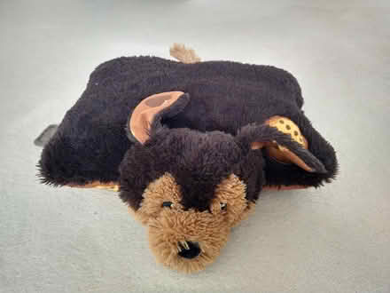 Photo of free Pillow pet dog cushion / toy (Chesham Bois HP6) #3