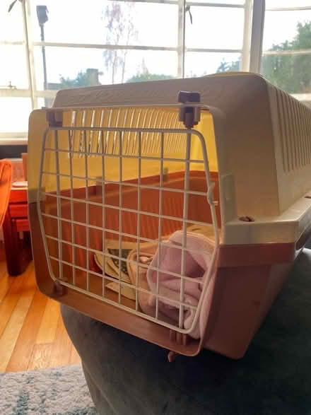Photo of free Cat carrier (Berkhamsted HP4) #1