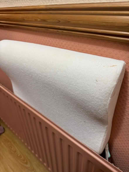 Photo of free Neck Pillow (Adlington PR6) #1