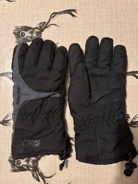 Photo of free Ski gloves (medium/large adults?) (Oxenholme LA9) #1