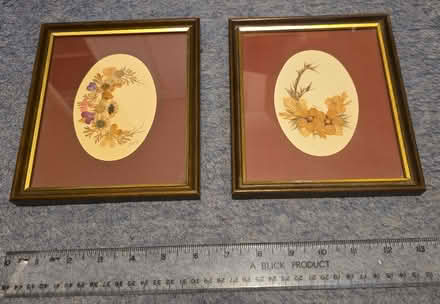 Photo of free Framed Dried Flowers (Twickenham TW2) #1